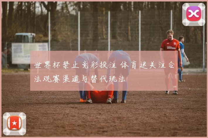 世界杯禁止竞彩投注 体育迷关注合法观赛渠道与替代玩法